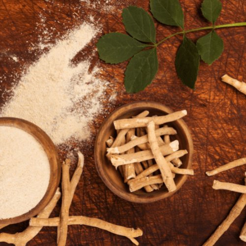 Proven Health Benefits of Ashwagandha - wellvy wellness store