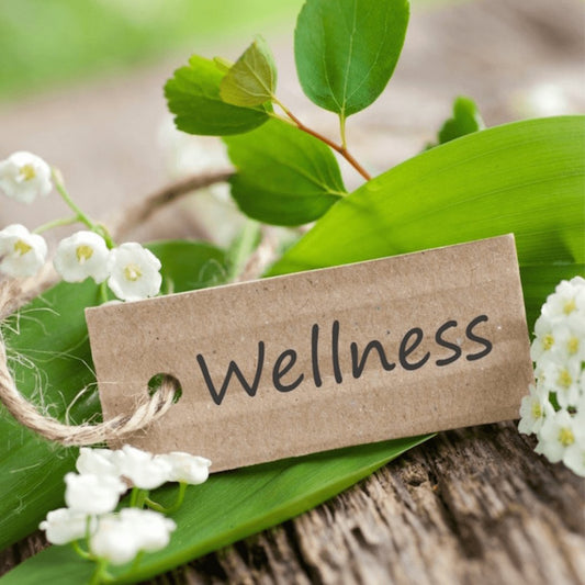 What is Wellness? Understanding the Core Principles for a Balanced Life - wellvy wellness store