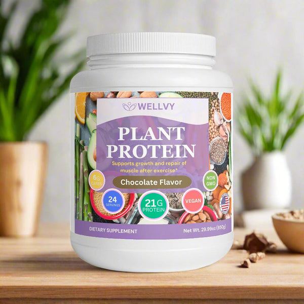 WELLVY Chocolate Plant Protein Powder – 21g Vegan Protein, Gluten-Free - wellvy wellness store