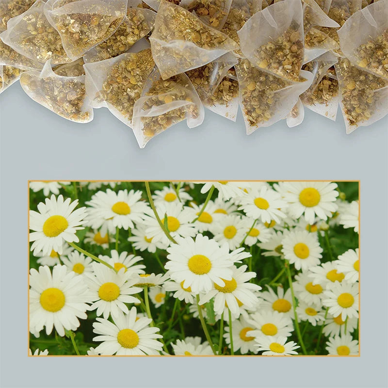 CatFit Natural Chamomile Tea | Stress Relief, Skin Care & Digestive Support | Cough & Breathing Aid