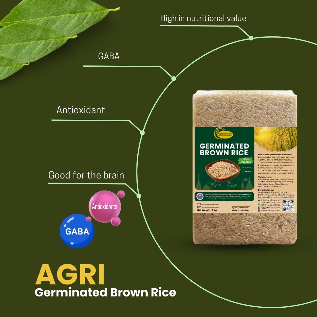 Agri Premium Organic Germinated Brown Rice - Nutrient - Rich and Easy to Digest - wellvy wellness store