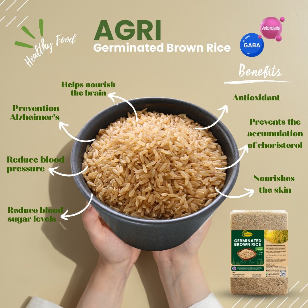 Agri Premium Organic Germinated Brown Rice - Nutrient - Rich and Easy to Digest - wellvy wellness store