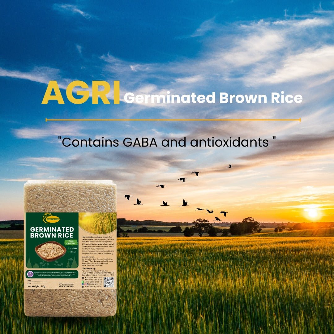 Agri Premium Organic Germinated Brown Rice - Nutrient - Rich and Easy to Digest - wellvy wellness store