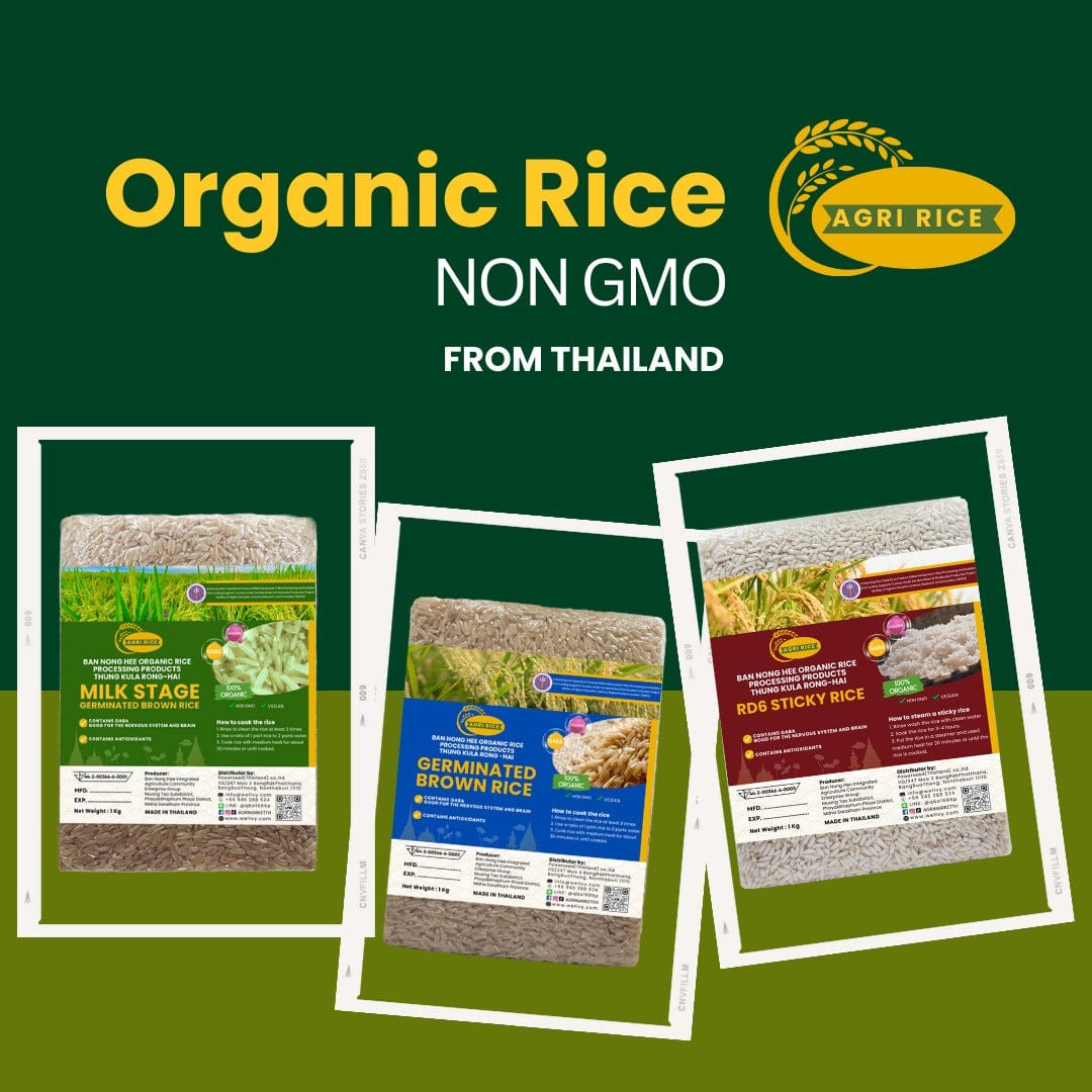 Agri Rice Varieties from Ban Nong Hee, Thung Kula Rong Hai - Organic & Non - GMO - wellvy wellness store