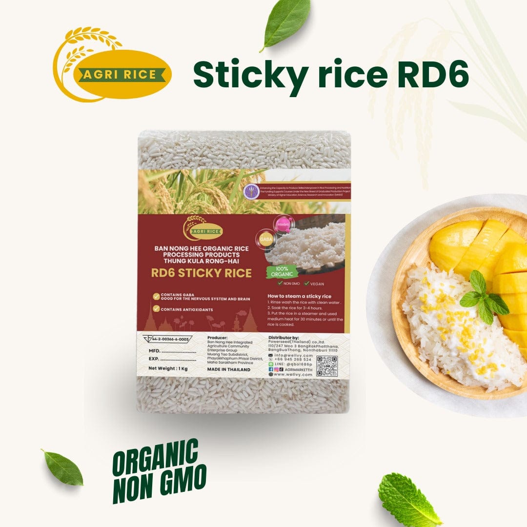 Agri Rice Varieties from Ban Nong Hee, Thung Kula Rong Hai - Organic & Non - GMO - wellvy wellness store