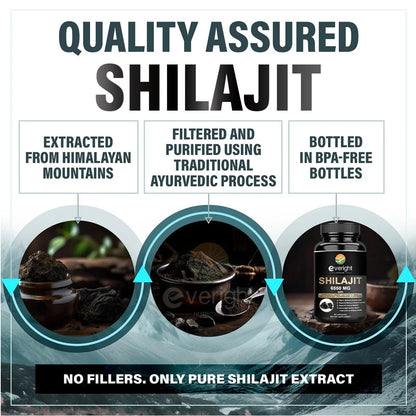 Everight Himalayan Shilajit: Enhanced with Herbs for Overall Vitality - wellvy wellness store