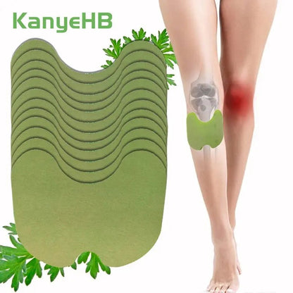 KanyeHB Chinese Herbal Pain Relief Patches - wellvy wellness store