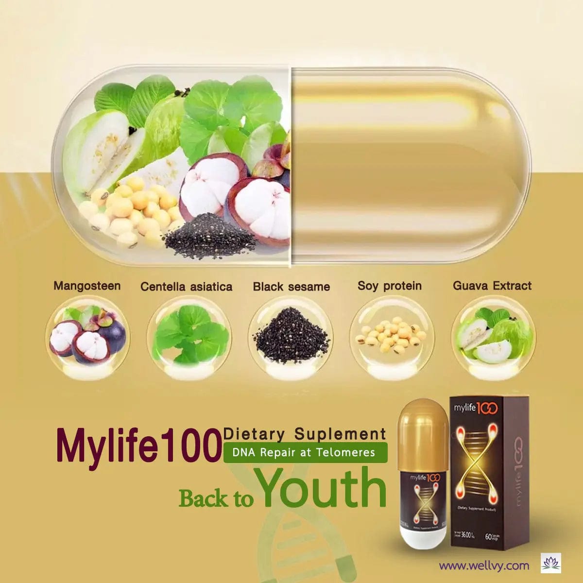 MyLife 100: Advanced Antiaging Dietary Supplement - wellvy wellness store