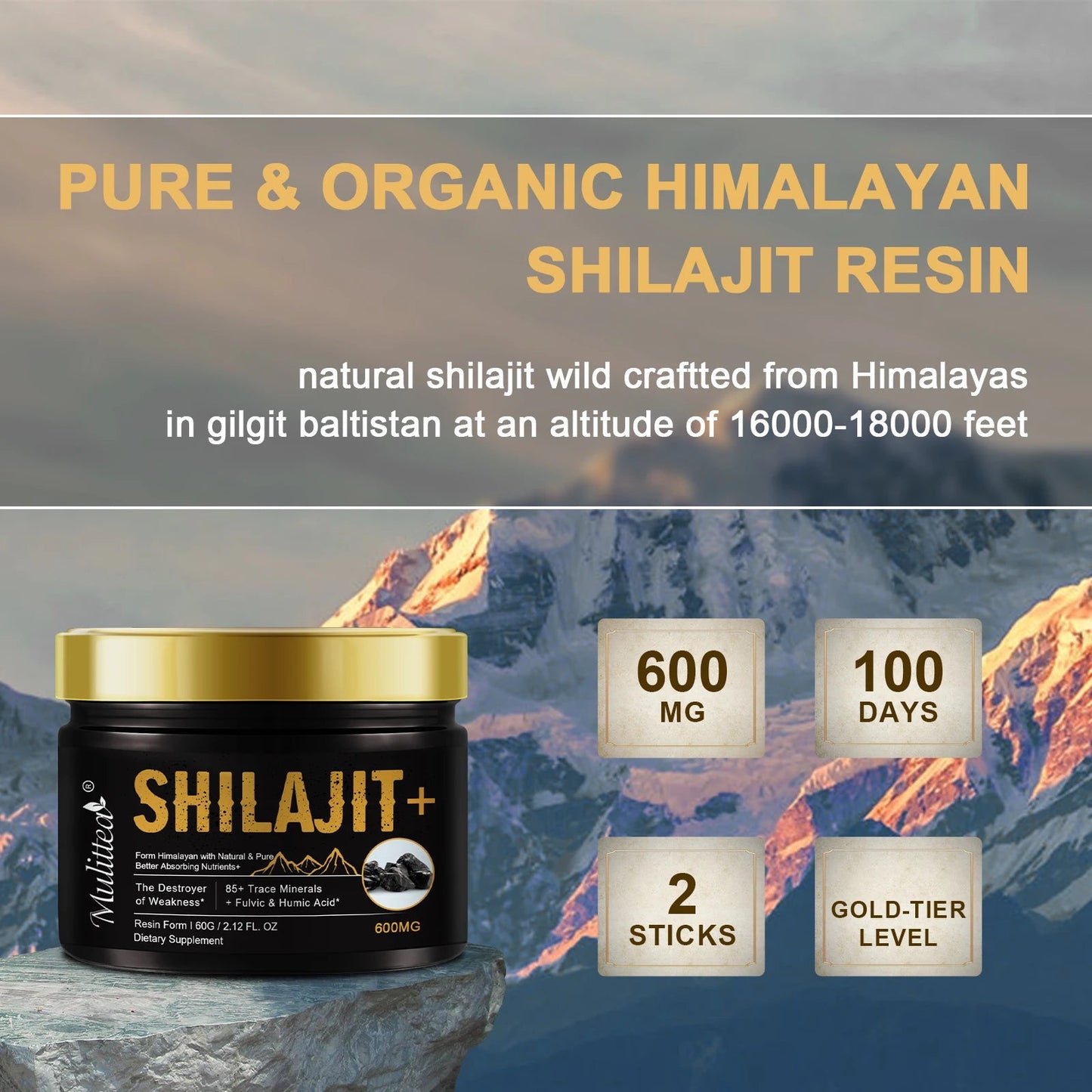 Organic Mineral Boost: Mulittea Shilajit - wellvy wellness store